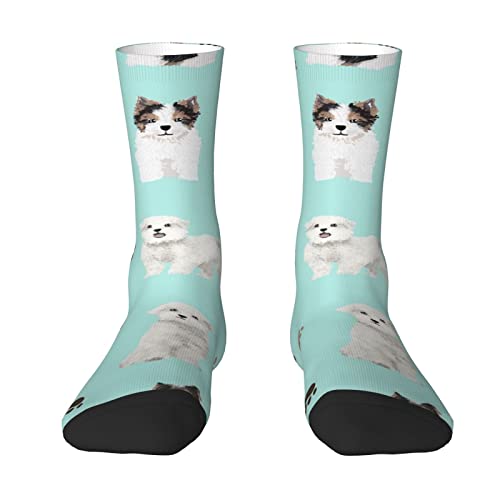 Oudrspo Chaussettes de course athlétiques pour hommes et femmes, motif Yorkshire Terrier, Biewer Terrier, Bichon maltais, mignons petits chiens