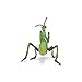 Papo -Hand-Painted - Figurine -Wild Animal Kingdom - Praying Mantis -50244 -Collectible - for Children - Suitable for Boys and Girls- from 3 Years Old