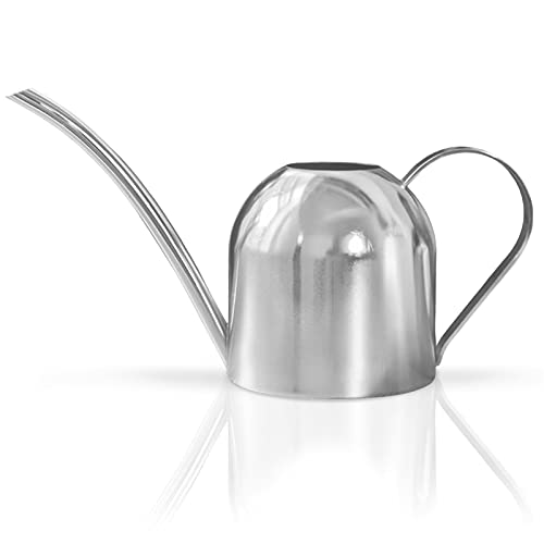 HIFUAR Watering Can for Indoor Plants with Long Mouthed,Small Polished Brass Watering Can for House Plants Flower (Silver)