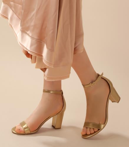 Image of Ankis Heels for Women Open Toe Ankle Strap Chunky Heel Sandals 2.75 Inch