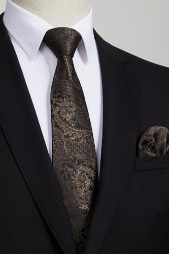 Image of HISDERN Ties for Men Paisley Floral Tie Handkerchief Classic Woven Business Formal Necktie and Pocket Square Set Wedding