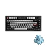 Akko Dracula Castle Mechanical Keyboard 5075B Plus 75% RGB Hot-swappable with Knob, Multi-Modes Gaming Keyboard with PBT Double Shot ASA Profile Keycaps Creamy Blue Pre Lubed Switch