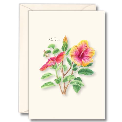 Image of Earth Sky + Water - Hibiscus Notecard Set - 8 Blank Cards with Envelopes