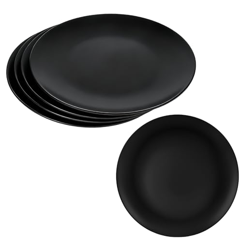 bssmmai Lot de 6 grandes assiettes rondes en mélamine - Noir mat - 25 cm - Pour dessert, barbecue, RV, fête, pique-nique