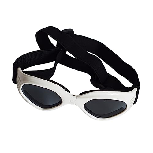 TOGEVAL ybgp\S[O LΉ JbgʋCfUCtt@bVOpTOX zCgANZT[