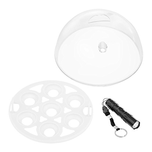 WXHN 7 Eier Mini Digital Inkubator Vollautomatische Brutmaschine Brutkasten Temperatur und Feuchtigkeitsregulierung Für… – Bild 5