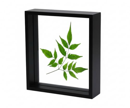Image of Desi Rang Wooden Frame for Wall Decor Table top Hanging Any Green or dry plant Leaf Picture Photo DIY Gift Home decoration (Black,Sqr,7x7 inch,without leaf)