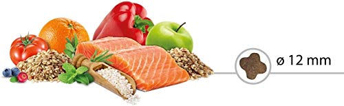 Select Mini Adult Lachs 3 kg 3000 g
