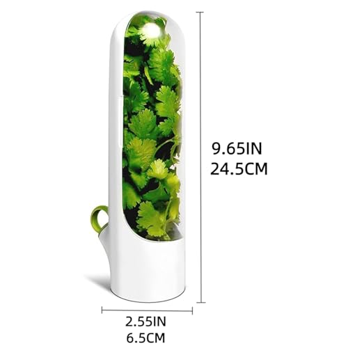 Image of Herb Keeper for Refrigerator, Fresh Herb Storage Container with Clear Dome, Keeps Cilantro Mint Parsley Asparagus Fresh 2-3 Weeks, 9.65 Inch, White, 1 Pack
