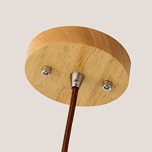 Lámpara colgante de techo con cordón ajustable y base de lámpara E27 4