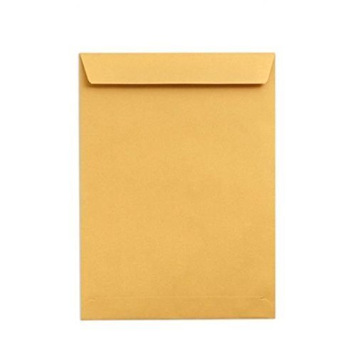 AccuPrints 10 x 12 Envelope Size A4 Size Envelopes Ideal For Home