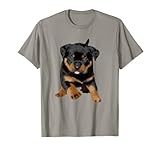 Perro, perros, rottweiler, rottie, rotties, rottweilers, lindo, mascota, amantes de los perros, amor de rottweiler, amantes de rottweiler, amantes de rottweiler, rottweiler life, amantes de rottweiler, cachorros rottweiler, raza rottweiler, perro rottweiler, amante de rottweiler, putrefacción