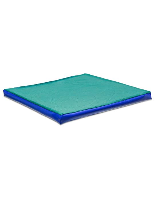 PROS Tapis de désinfection pour chaussures Tapis de désinfection des semelles de chaussures Tapis de sol d'entrée