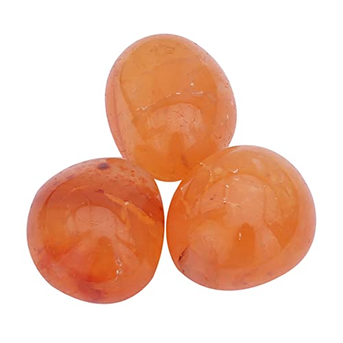 Healing Crystals India Chakra Crystals Healing Stones Natural Crystals Gemstones Spiritual Stones Reiki Healing Chakra Balancing Metaphysical Healing Polished Tumbled Stones (3, Carnelian)