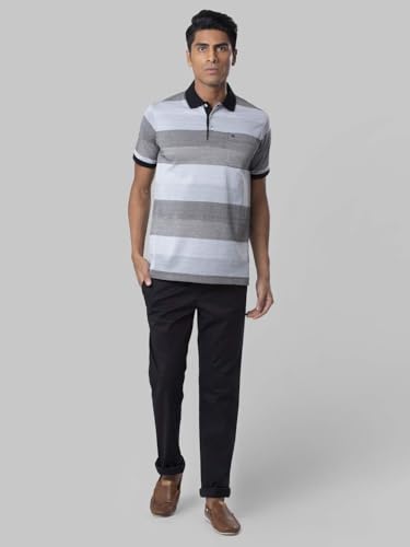 Image of Raymond Men's Regular Fit Polo
