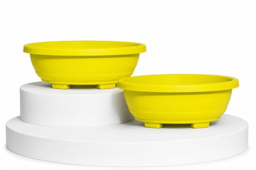 Image of Harshdeep Bonsai Plant Pot - Oval - Indoor Home Balcony Terrace Garden Decor 16 Inch Light Weight Plastic Planter Set of 2 (Yellow)