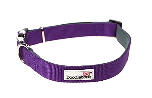 Doodlebone, Padded Dog Collar, Adjustable Breathable Comfort Collar with Reflective Stitching