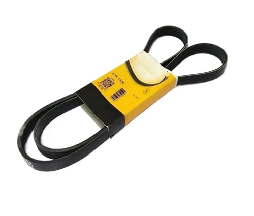 Poulie tendeur courroie alternateur MG3 1.5L kit distribution Roewe 350