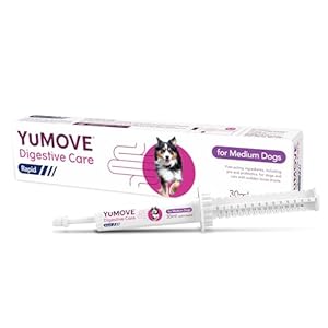 YuMOVE Digestive Care Rapid, Dog Pre and Probiotic Paste for Gut Health, Digestive Supplements with Fast-Acting Ingredients for Medium Dogs, 30ml