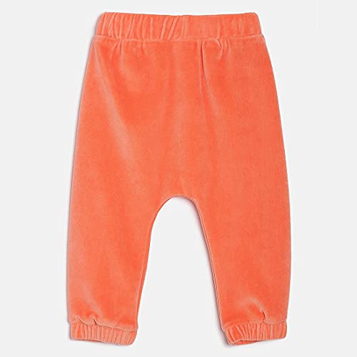 Image of miniklub Boys Off-White & Orange Printed T-Shirt With Trousers
