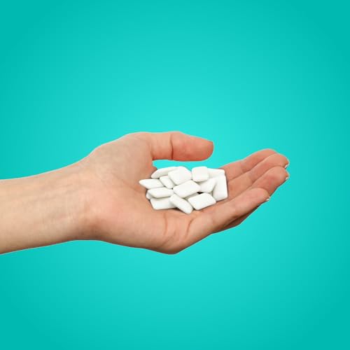 Buy PUR Gum Aspartame Free Chewing Gum 100 Xylitol Natural Wintergreen