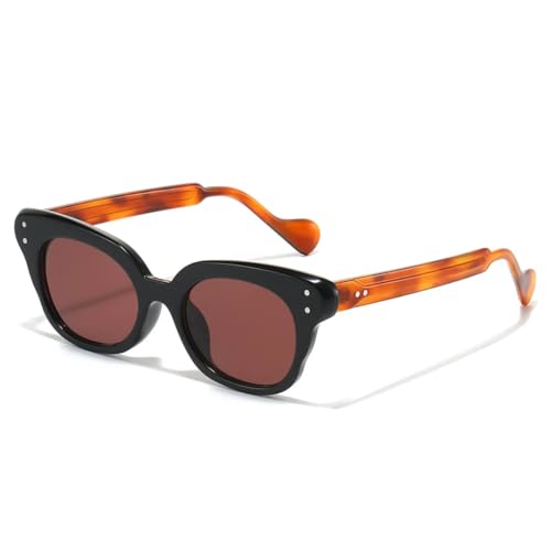 Lunettes de soleil œil de chat protection UV400 totale verres dégradés