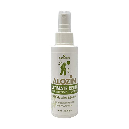 Zion Health Alozin Pain Relief Spray, 4 Ounce - //coolthings.us