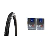Schwalbe