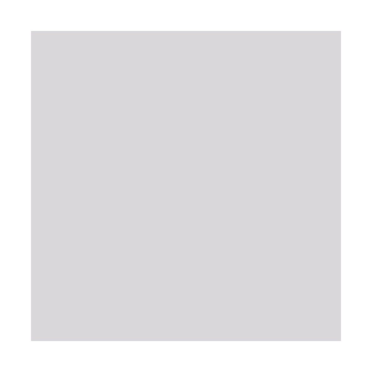 ARCANE INDUSTRIES Solthane Peinture Sol extérieur pour béton 5 kg Blanc