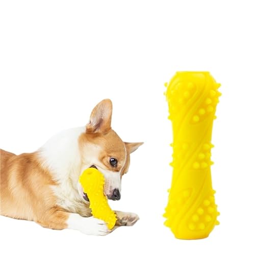 TPR Molar Dog Toy Features
