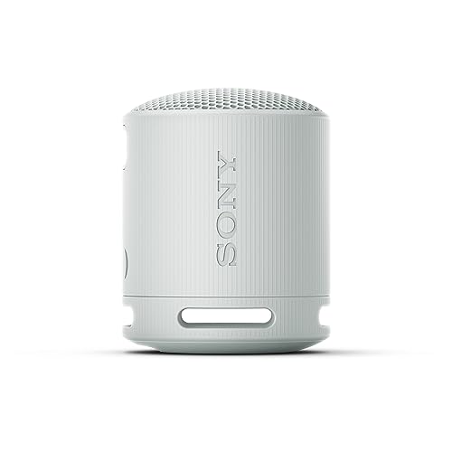 Sony XB100 Portable Wireless Speaker (Light Gray)