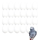 huevos de loros fertiles en españa 🖇️ DISPONIBLES EN PACKS: de 6, 12, 24 y 48 unidades.