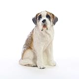 Saint Bernard w/Smooth Coat Tiny One Figurine