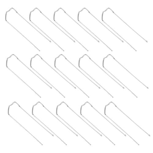 JOINPAYA 200 Alfileres Metálicos para Plantas M Tipo Clavos de Fijación Galvanizados para Arreglos de Flores 200 Piezas para Manualidades y Decoraciones Artesanales