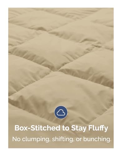 Image of Queen Size, Beige Alternative Down Comforter - Warm, Lightweight & Breathable Hotel Quality Bedding Set for Men, Women, Kids & Teens - All Season Oversized Cooling Microfiber Duvet Insert Comforter