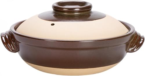 Citybaby y ъ ΐp ۉ ڂh~ уW[ a Mtg (800ml,B) [sAi]