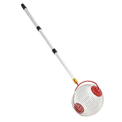 Preisvergleich Produktbild camouflage net Nuss Mähdrescher Ball Picker und Nusssammler, Obstsammler Nusssammler Kugelpflücker mit Stiel, aus Edelstahl,für Golfbälle,Tennisbälle