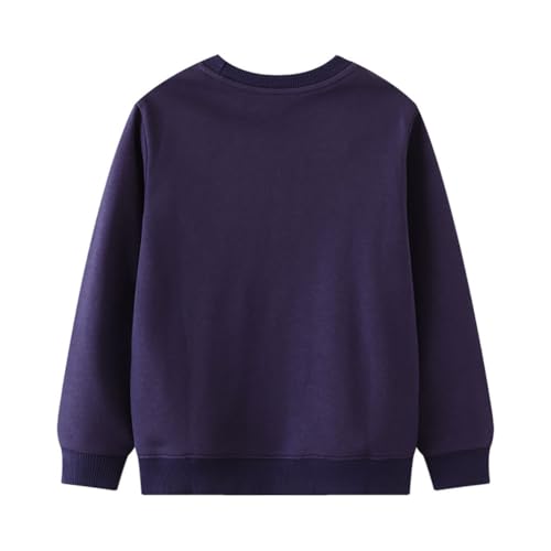 Boys Sweatshirts Casual Sweatshirts Cotton Sweatshirts Long Sleeve T-shirts Crew Neck Cartoon Tops for Boys-4842
