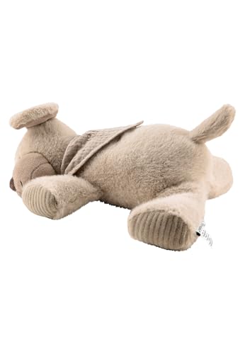 Sterntaler Schlaf Gut Figur Hund Lucky - Baby und Kinder Einschlafhilfe aus weichem Flausch - Kuscheltier mit Soundmodul hilft beim Einschlafen - Geräuschmodul mit beruhigenden Tönen, graubeige