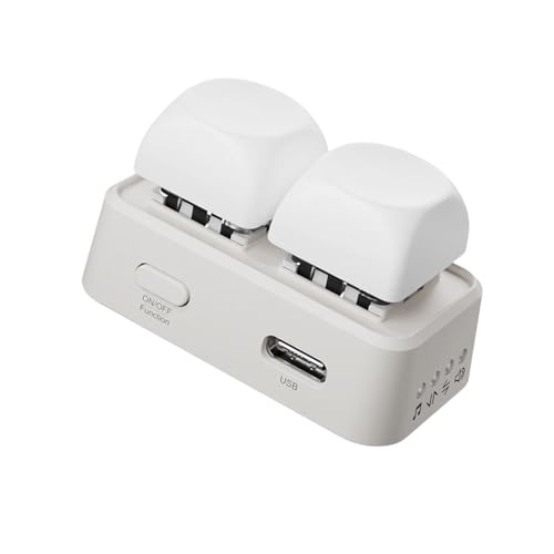 HANLINYUE Free2 Bluetooth Page Flip with Built in Non Removable