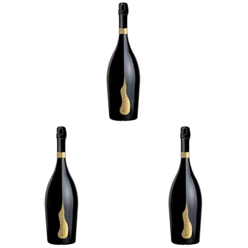 Bottega Il Vino dei Poeti Prosecco DOC Spumante Brut Magnum - 1500ml (Confezione da 3)