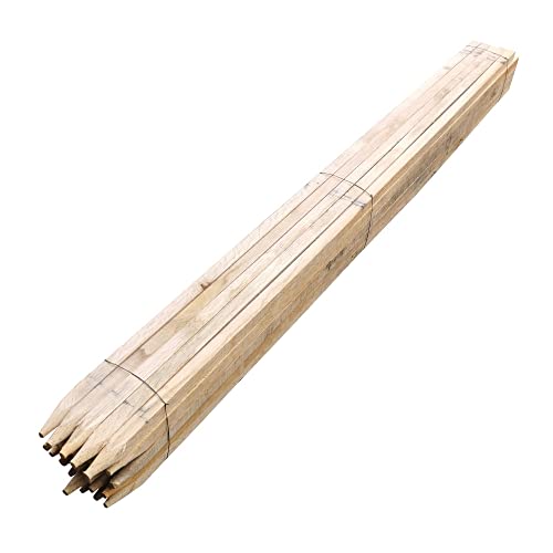 TerraGala Hartholzpfähle | 10 Stück | 200 cm | Ø 25 x 25mm | angespitzte Pflanzstäbe aus Eiche