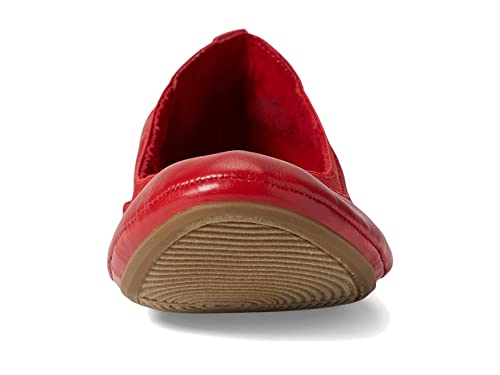 Image of Bandolino Edition 8