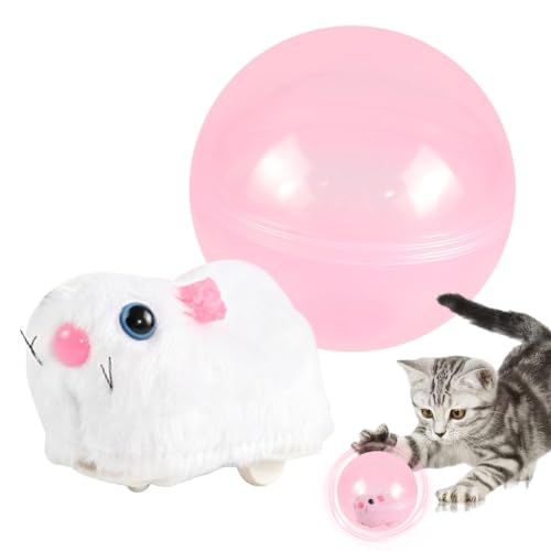 XIQIQI Bälle für Katzen | Interaktive lustige Indoor-Haustierspiele | Elektrischer Automatischer Katzenspielball | Für Kleine Mittelgroße Hunde Welpen Bewegung Jagd Langeweile Stimulation