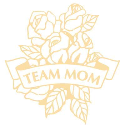 Crown Awards Team Mom Plaques, Custom Engraved Team Mom Trophy Plaque Award, Great Customizable Team Mom Team Gift Prime