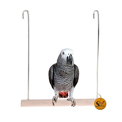 Sage Square Swing Perch Wire 6x8 - The Ultimate Wooden Swing Toy for Budgies, Canaries, Parakeets, Lovebirds, &CockatielsGive Your Bird The Perfect Training Aid and Playground, Engage Your Birds (B097YHVFSZ) Amazon Price History, Amazon Price Tracker
