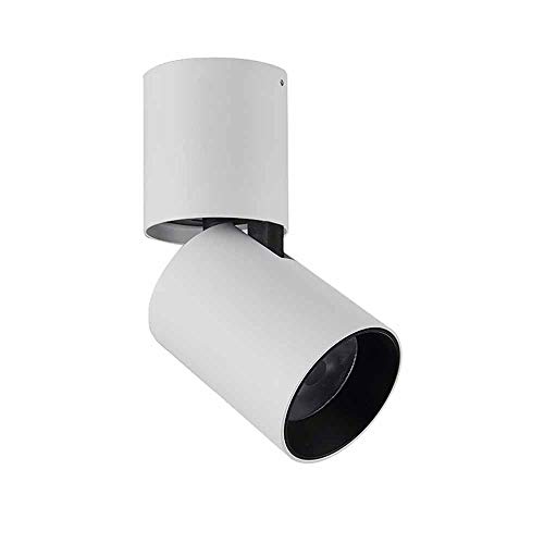 Foco LED, Foco de Techo LED montado en el Techo, Cabezal de luz descendente Ajustable de 90°, iluminación COB de Aluminio para Dormitorio, Sala de Estar, Cocina, Comedor, balcón, 7