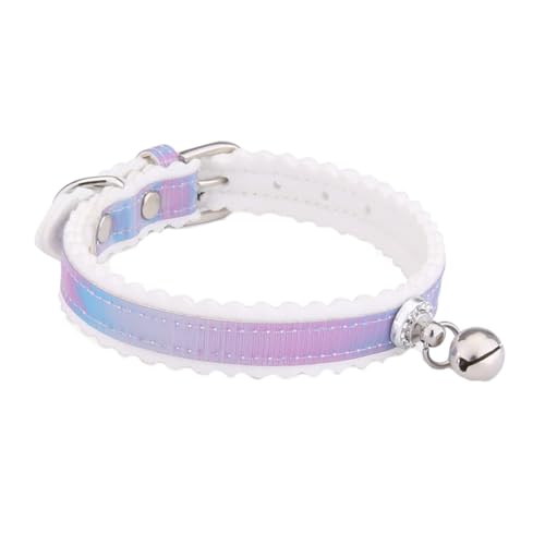 Abaodam Lp \ȗtOf[VJ[ ybgΉ yʉK   ȌLp ybgpi