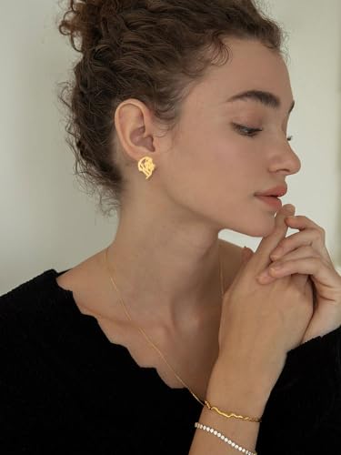 Punk Crown Lion Head Stud Earrings Stainless Steel Tiny Cute Small Animal Minimalist Hollow Pierced Studs Holiday Vacation Earring Gothic Jewelry Gifts for Women Men Hypoallergenic Birthday3