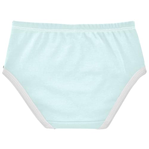 Joisal Light Cyan Aqua Little Girl Panties Toddler Underwear Floral Cotton Personalized Briefs Kids Undies 2t2
